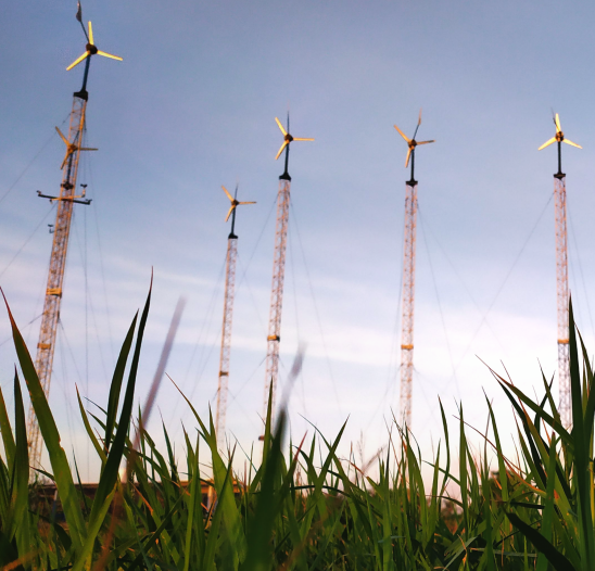 project_20200814_1040492-0